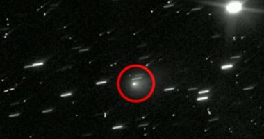 Scientist warns 'hostile' alien ship could hit Earth in just months
