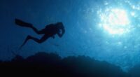 Scuba diving generates up to $20B annually, with conservation benefits: Study