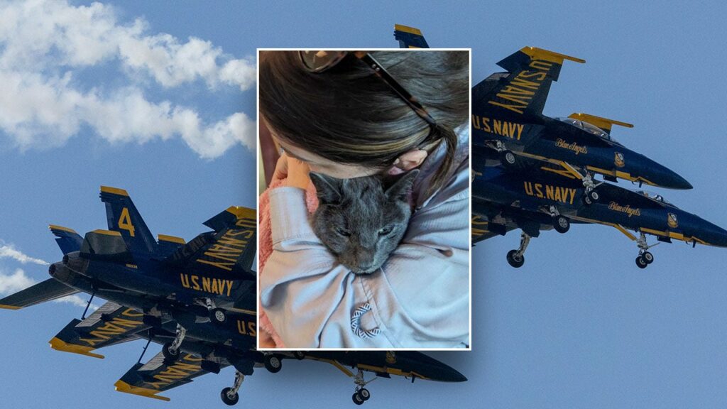 Seattle woman takes Navy's Blue Angels to court over social media censorship and 'acoustic torture' of cat