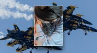 Seattle woman takes Navy's Blue Angels to court over social media censorship and 'acoustic torture' of cat