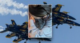 Seattle woman takes Navy's Blue Angels to court over social media censorship and 'acoustic torture' of cat