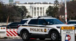Secret Service thwarts potential threat near Trump's White House grounds with rapid response