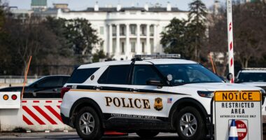 Secret Service thwarts potential threat near Trump's White House grounds with rapid response