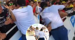 Security guard takes out protestor at Tour de France in wild scene
