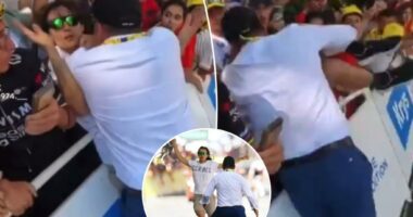 Security guard takes out protestor at Tour de France in wild scene