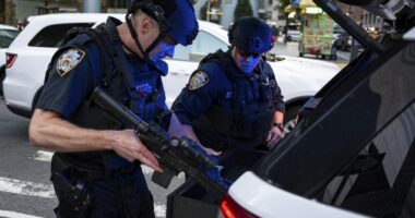 Senate Republican on NYC shooting: ‘We don’t need more gun control. We need more idiot control’