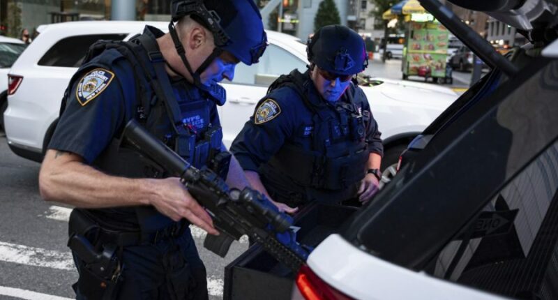 Senate Republican on NYC shooting: ‘We don’t need more gun control. We need more idiot control’