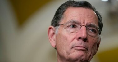 Senate Republican: ‘America is safer with Pam Bondi as attorney general’
