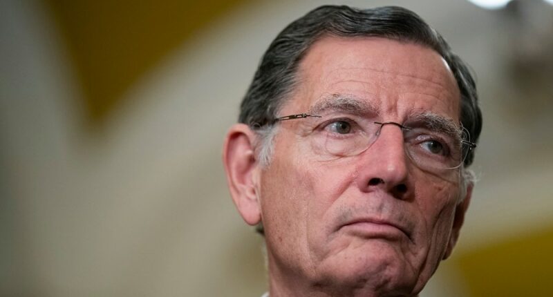 Senate Republican: ‘America is safer with Pam Bondi as attorney general’