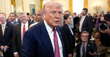 Senate itches to leave amid Trump pressure