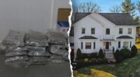 Seven Chinese nationals charged in multimillion-dollar marijuana trafficking operation