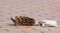 Several Hillsborough residents, including 10-year-old, suffer 'devastating' fireworks injuries