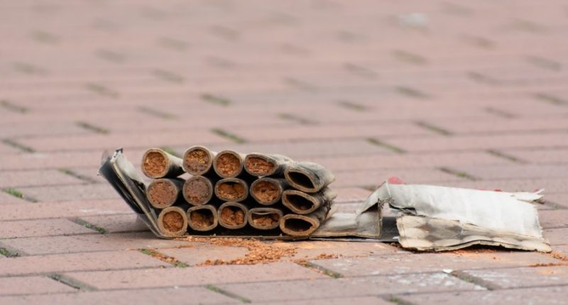 Several Hillsborough residents, including 10-year-old, suffer 'devastating' fireworks injuries