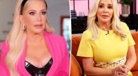 Shannon Beador pulled over by cops nearly 2 years after DUI