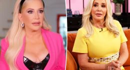 Shannon Beador pulled over by cops nearly 2 years after DUI