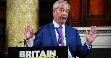 Nigel Farage speaking at a press conference.