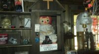 Raggedy Ann doll in a case in the Warren's Occult Museum.