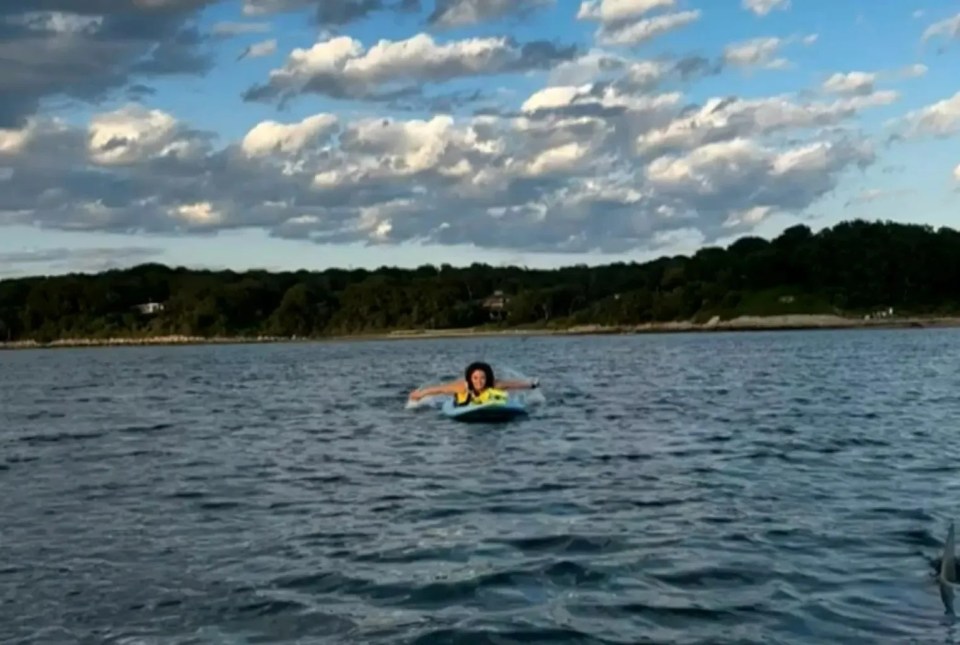 Paddleboarder on calm water near a shoreline.
