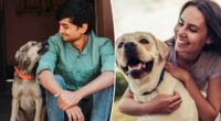 Shocking number of pet owners would date AI versions of their animals, study reveals