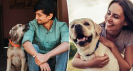 Shocking number of pet owners would date AI versions of their animals, study reveals