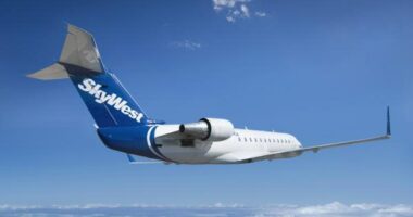 SkyWest flight diverted after passenger tries to open emergency door, fights with flight attendant: report