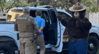 Smokey the Bear arrests man for allegedly stealing his signs in Florida to sell on Facebook: 'Dumb criminals'