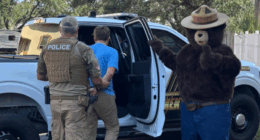 Smokey the Bear arrests man for allegedly stealing his signs in Florida to sell on Facebook: 'Dumb criminals'