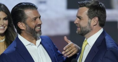 Some wild 2028 speculation about Vance and Donald Jr.