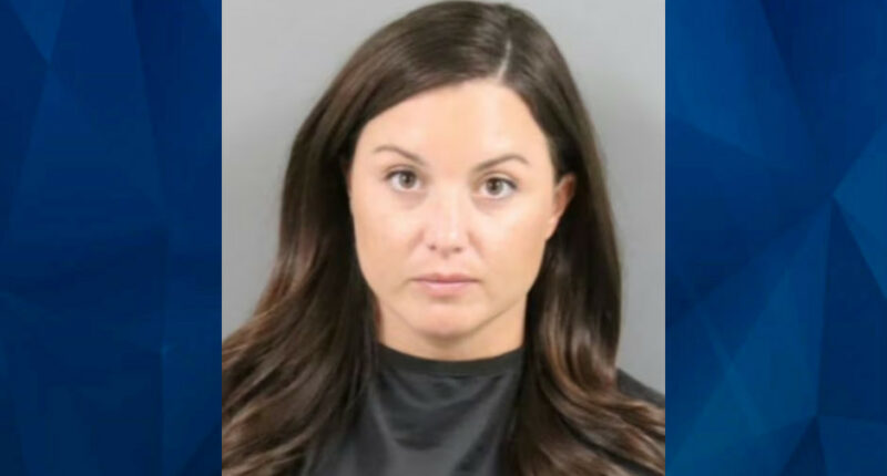 South Carolina Teacher Charged With Grooming, Sexually Abusing Teen Boy