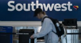 Southwest Airlines flight takes dramatic plunge in response to nearby aircraft