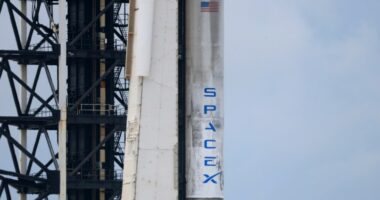 SpaceX is getting into the cosmic manufacturing business