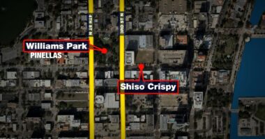 St. Pete restaurant owner says city allows 'atrocious behavior' in public sleeping lawsuit