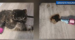 Suspect caught in Lake Wales vandalism; police say he had ties to competing company