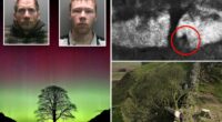 Sycamore Gap vandals face their fate in English court for felling beloved tree