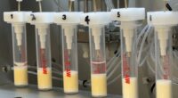 Tampa Bay Water awarded $21M+ in class action settlement over 'forever chemicals'