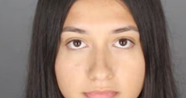 Mugshot of Jocelyn Sanroman.