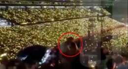 Stadium crowd holding up lights.