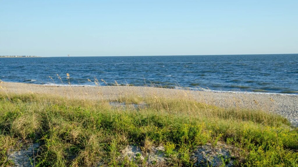 Teen run over by a truck while sunbathing on the beach