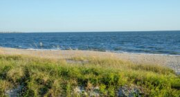 Teen run over by a truck while sunbathing on the beach