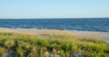 Teen run over by a truck while sunbathing on the beach