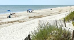 Teen suffers unimaginable horror while sunbathing at beach