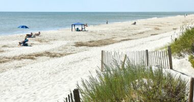 Teen suffers unimaginable horror while sunbathing at beach