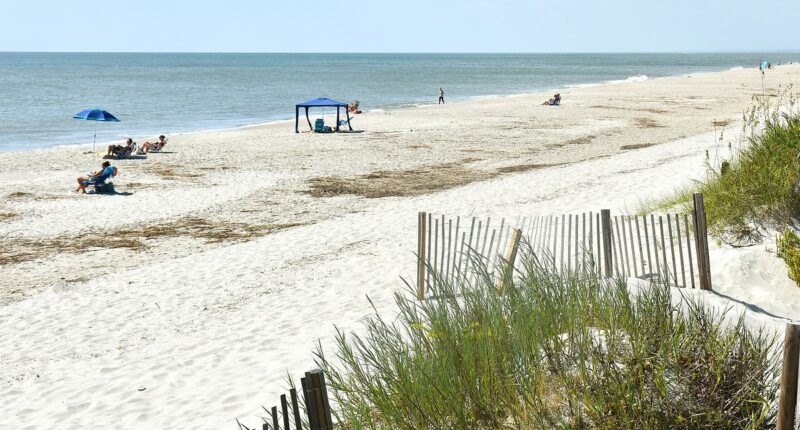 Teen suffers unimaginable horror while sunbathing at beach