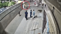 Security camera footage of a lion escaping and injuring people.