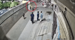 Security camera footage of a lion escaping and injuring people.