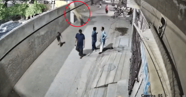 Security camera footage of a lion escaping and injuring people.