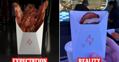 Tesla Diner customer reveals the dismal reality of $12 'Epic Bacon'
