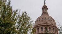 Texas congressional candidate arrested during heated redistricting hearing
