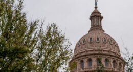 Texas congressional candidate arrested during heated redistricting hearing