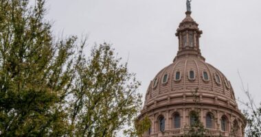 Texas congressional candidate arrested during heated redistricting hearing